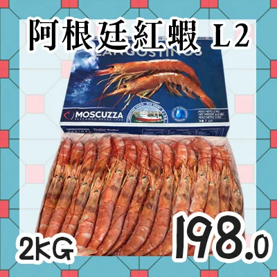 阿根廷紅蝦L2可刺身食用